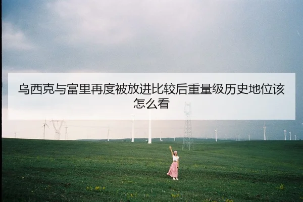 乌西克与富里再度被放进比较后重量级历史地位该怎么看