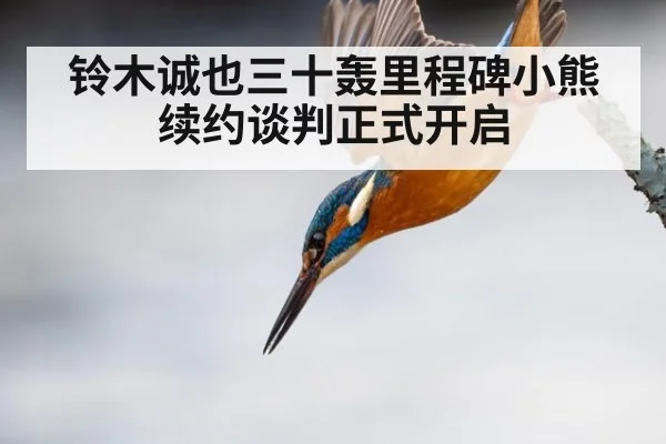 铃木诚也三十轰里程碑小熊续约谈判正式开启